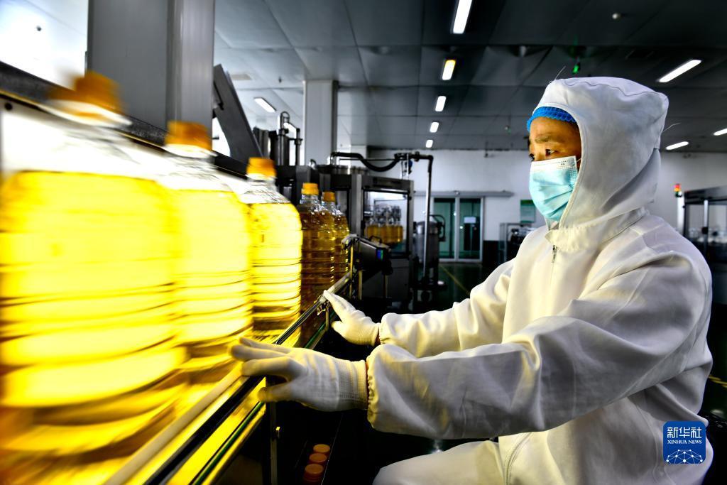 奔驰宝马游戏电脑版下载